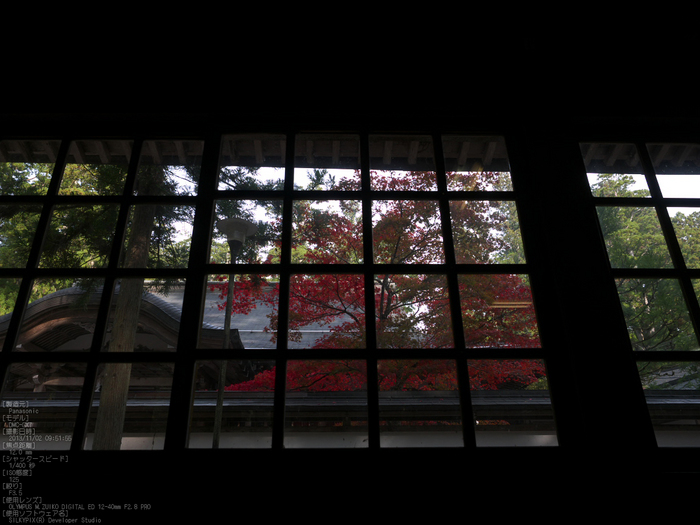 高野山,紅葉（Panasonic,GX7）_2013yaotomi_25s.jpg