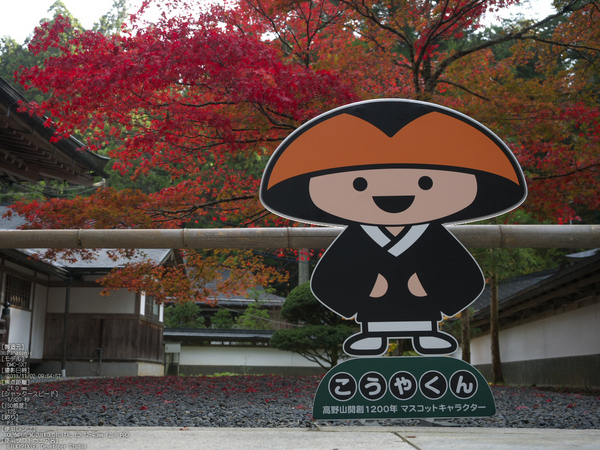 高野山,紅葉（Panasonic,GX7）_2013yaotomi_26s.jpg