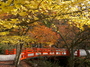 高野山,紅葉（Panasonic,GX7）_2013yaotomi_6full.jpg