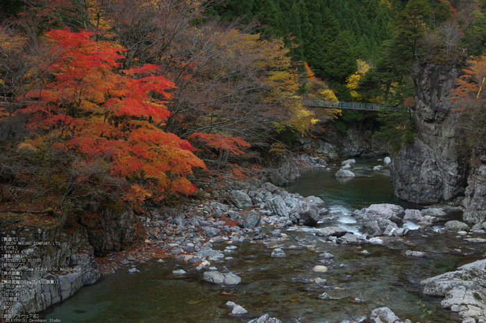 天川,天ノ川渓谷,紅葉（PENTAX-K3）_2013yaotomi_55s.jpg