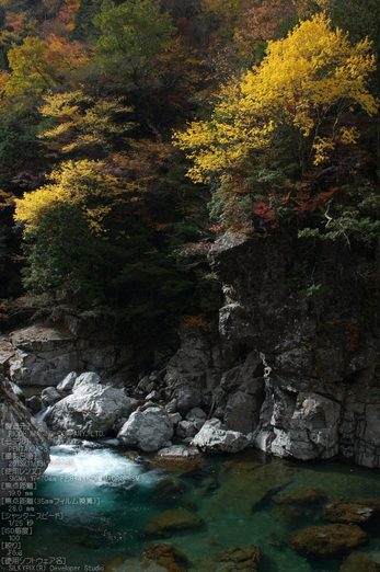 天川,天ノ川渓谷,紅葉（PENTAX-K3）_2013yaotomi_56s.jpg