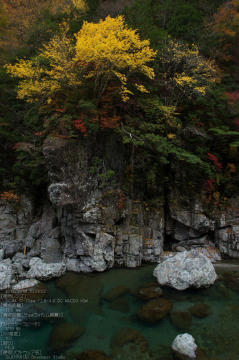 天川,天ノ川渓谷,紅葉（PENTAX-K3）_2013yaotomi_57s.jpg