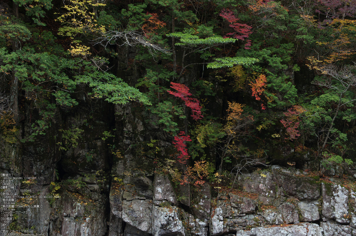 天川,天ノ川渓谷,紅葉（PENTAX-K3）_2013yaotomi_58s.jpg