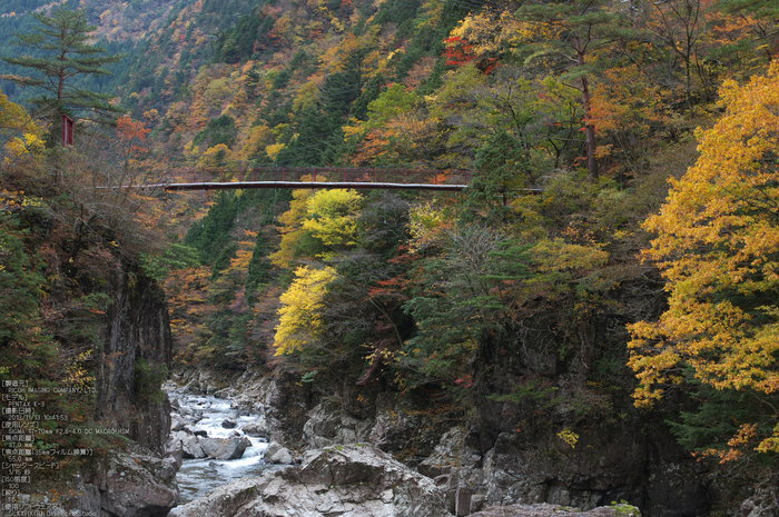 天川,天ノ川渓谷,紅葉（PENTAX-K3）_2013yaotomi_62s.jpg