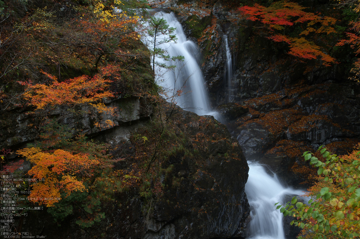 天川,天ノ川渓谷,紅葉（PENTAX-K3）_2013yaotomi_65s.jpg