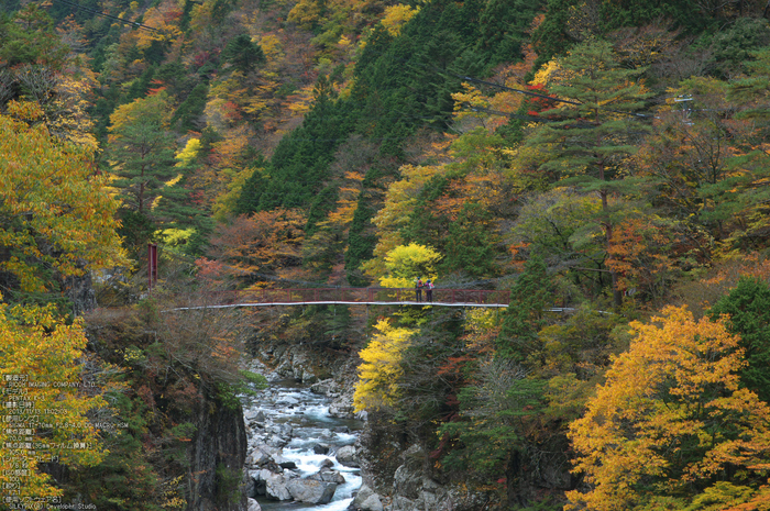 天川,天ノ川渓谷,紅葉（PENTAX-K3）_2013yaotomi_68s.jpg