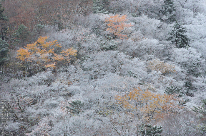 天川,行者還,紅葉（PENTAX-K3）_2013yaotomi_31st.jpg