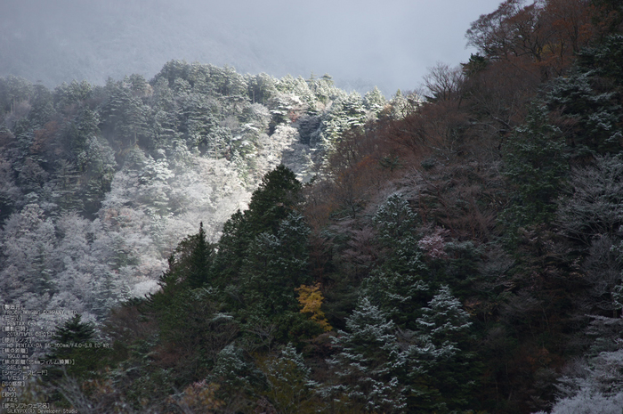 天川,行者還,紅葉（PENTAX-K3）_2013yaotomi_32st.jpg