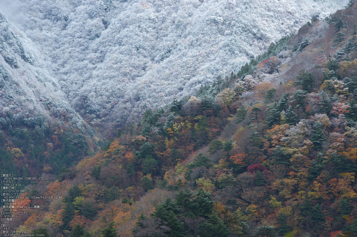 天川,行者還,紅葉（PENTAX-K3）_2013yaotomi_36st.jpg