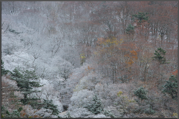 天川,行者還,紅葉（PENTAX-K3）_2013yaotomi_51st.jpg