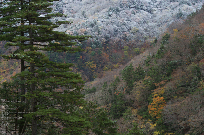 天川,行者還,紅葉（PENTAX-K3）_2013yaotomi_52s.jpg