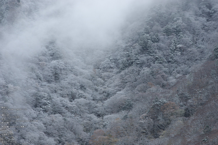 天川,行者還,紅葉（PENTAX-K3）_2013yaotomi_53s.jpg