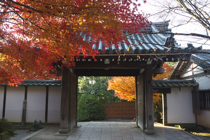 PK3_5149_SIL(20mm・F5,0),龍安寺紅葉2013yaotomi_.jpg