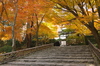 PK3_5194_SIL(21mm・F7,1・FULL),龍安寺紅葉2013yaotomi_.jpg