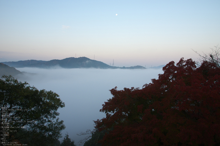 P_K33490_SIL(17mm,F10),笠置寺,紅葉,2013yaotomi_.jpg