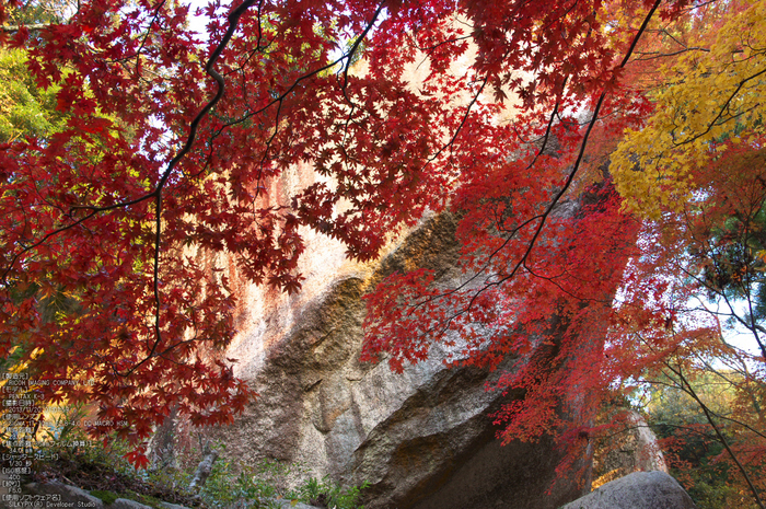 P_K33505_SIL(23mm,F5,0),笠置寺,紅葉,2013yaotomi_.jpg