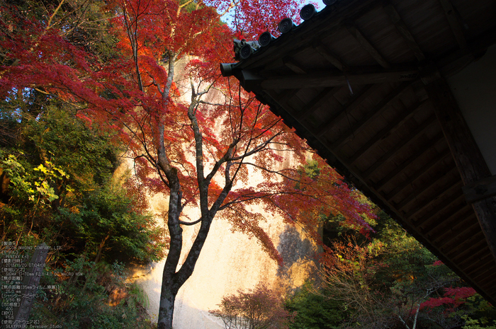 P_K33510_SIL(17mm,F5,6),笠置寺,紅葉,2013yaotomi_.jpg