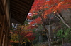 P_K33525_SIL(23mm,F5,6,FULL),笠置寺,紅葉,2013yaotomi_.jpg