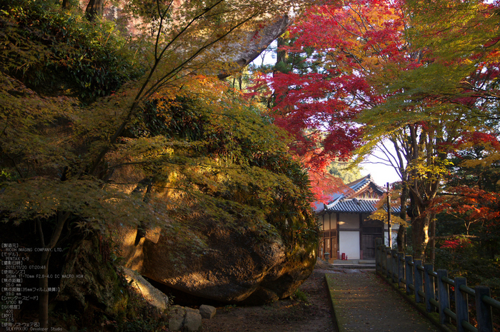 P_K33553_SIL(26mm,F3,5),笠置寺,紅葉,2013yaotomi_.jpg