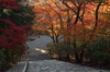 P_K33880_SIL(31mm,F7,1,FULL)室生寺紅葉,2013yaotomi.jpg