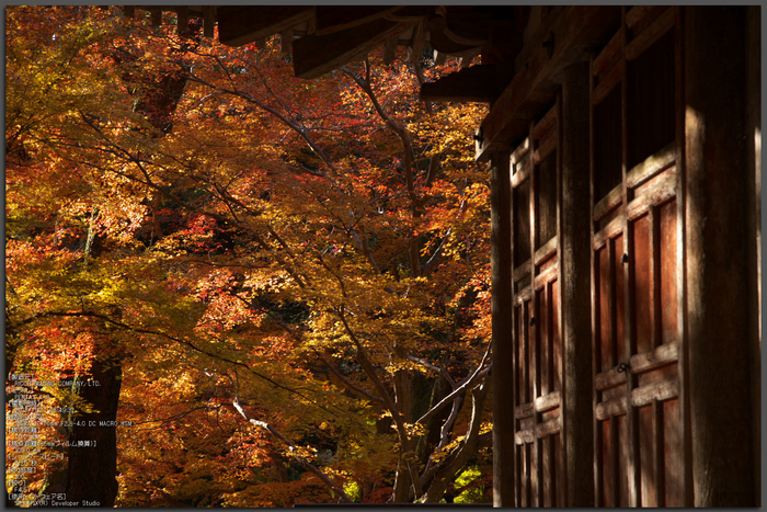 室生寺 紅葉 2013（後編） ／ SIGMA 17-70mm F2.8-4.0 DC MACRO HSM