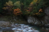 天川,行者還,紅葉（PENTAX-K3）_2013yaotomi_12full.jpg