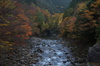 天川,行者還,紅葉（PENTAX-K3）_2013yaotomi_13full.jpg