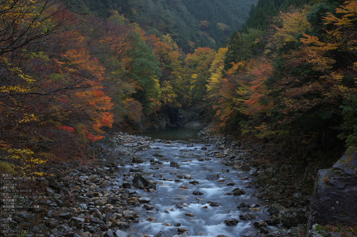 天川,行者還,紅葉（PENTAX-K3）_2013yaotomi_13s.jpg