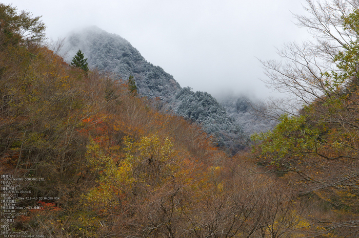 天川,行者還,紅葉（PENTAX-K3）_2013yaotomi_20s.jpg