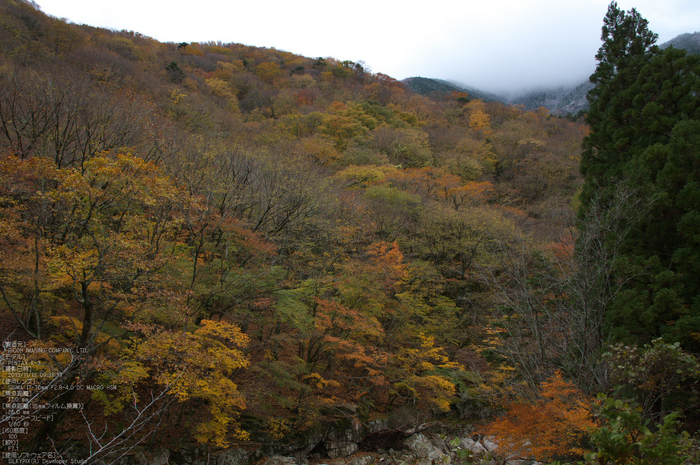 天川,行者還,紅葉（PENTAX-K3）_2013yaotomi_22s.jpg