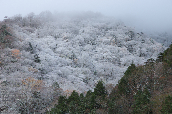 天川,行者還,紅葉（PENTAX-K3）_2013yaotomi_6s.jpg