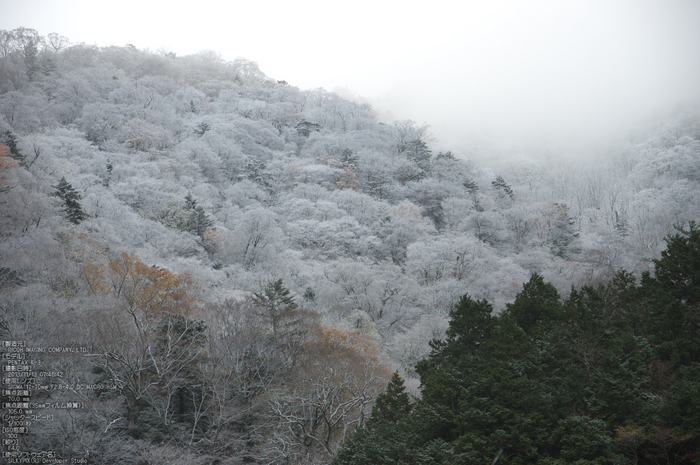 天川,行者還,紅葉（PENTAX-K3）_2013yaotomi_7s.jpg