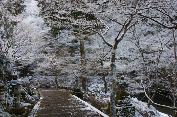 三尾,西明寺_PENTAX,K3(20mm,F6,3)PK3_5598_2014yaotomi_.jpg