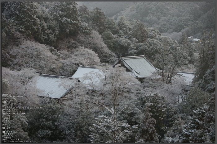 三尾,西明寺_PENTAX,K3(40mm,F6,3)PK3_5556_2014yaotomi_top.jpg