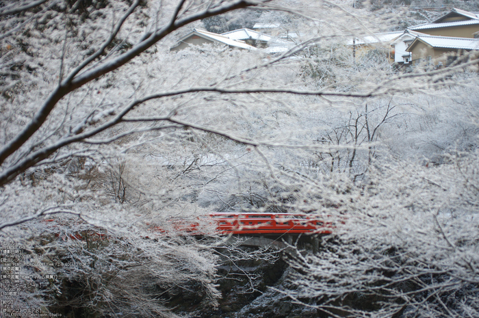 三尾,西明寺_PENTAX,K3(50mm,F2,8)PK3_5628_2014yaotomi_.jpg