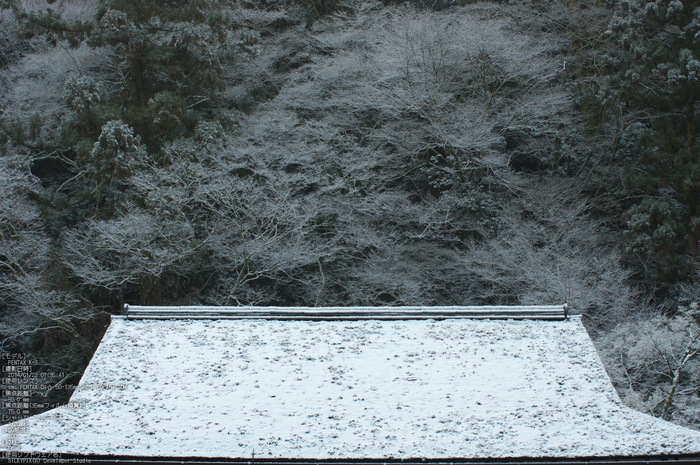 三尾,西明寺_PENTAX,K3(50mm,F6,3)PK3_5585_2014yaotomi_.jpg