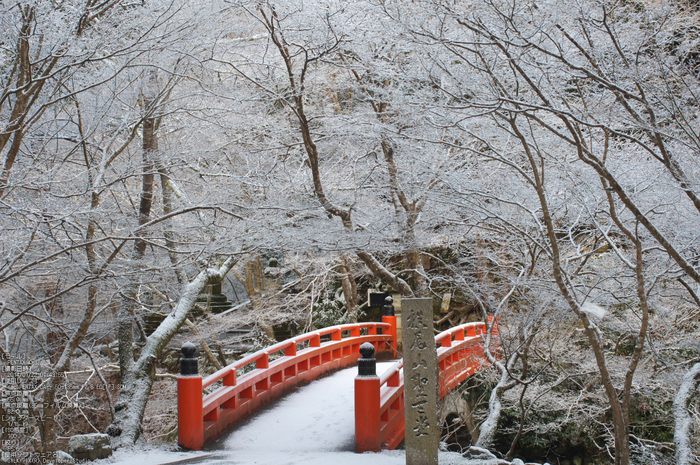 三尾,西明寺_PENTAX,K3(55mm,F5,6)PK3_5587_2014yaotomi_.jpg