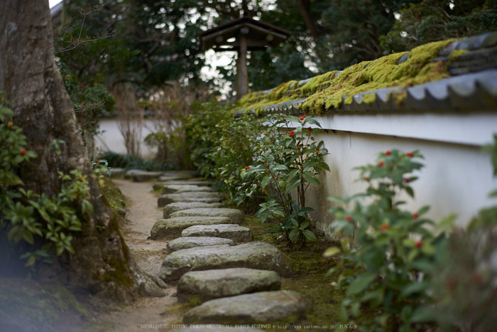 大和七福八宝めぐり(當麻寺,2014)_DSC_6421(Cap,F1.8,iso100,AFsNIKKOR58_1,4G,D800E)2014yaotomi.jpg