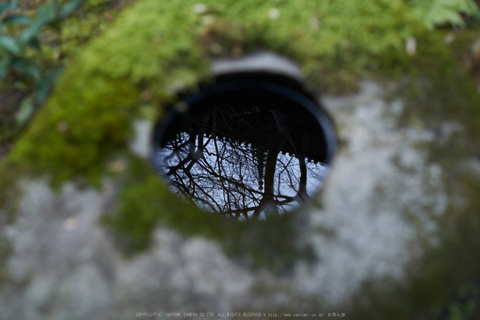 大和七福八宝めぐり(當麻寺,2014)_DSC_6427(Cap,F4,iso100,AFsNIKKOR58_1,4G,D800E)2014yaotomi.jpg