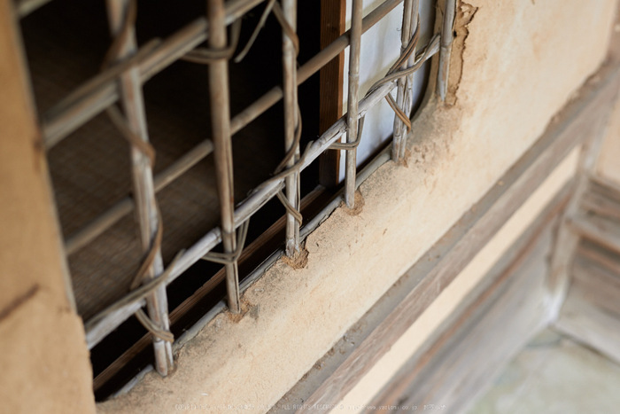 大和七福八宝めぐり(當麻寺,2014)_DSC_6431(Cap,F4,iso400,AFsNIKKOR58_1,4G,D800E)2014yaotomi.jpg