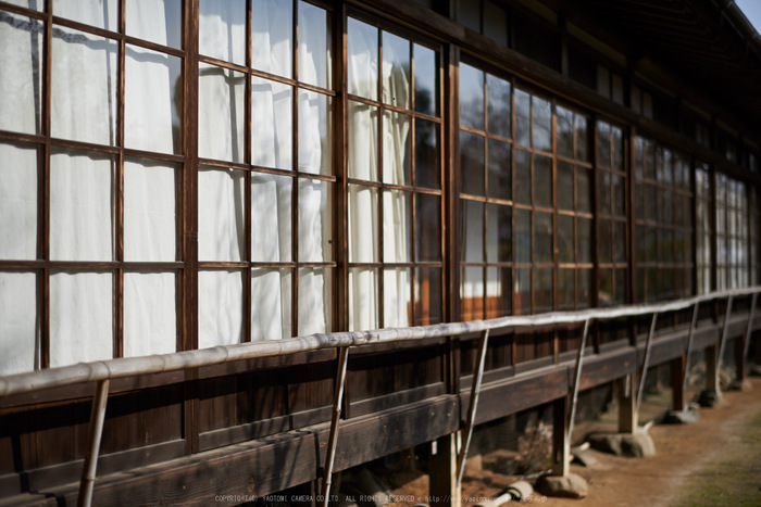 大和七福八宝めぐり(當麻寺,2014)_DSC_6433(Cap,F1.6,iso100,AFsNIKKOR58_1,4G,D800E)2014yaotomi.jpg