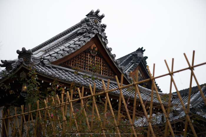 大和七福八宝めぐり,おふさ観音,2014_DSC_6437Cap(F1.8,AF-S,NIKKOR58,1,4G,D800E)2014yaotomi.jpg