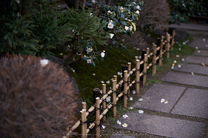 大和七福八宝めぐり,おふさ観音,2014_DSC_6463Cap(F1.8,AF-S,NIKKOR58,1,4G,D800E)2014yaotomi.jpg