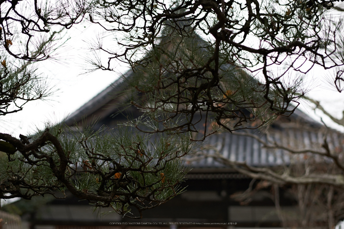 大和七福八宝めぐり,おふさ観音,2014_DSC_6471Cap(F2.2,AF-S,NIKKOR58,1,4G,D800E)2014yaotomi.jpg