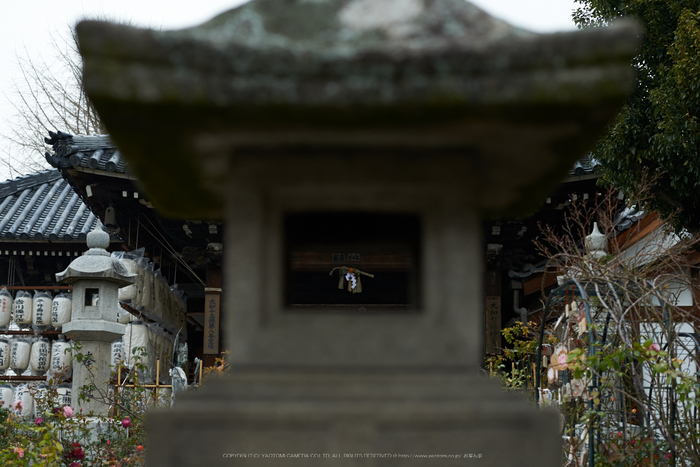 大和七福八宝めぐり,おふさ観音,2014_DSC_6485Cap(F4.5,AF-S,NIKKOR58,1,4G,D800E)2014yaotomi.jpg