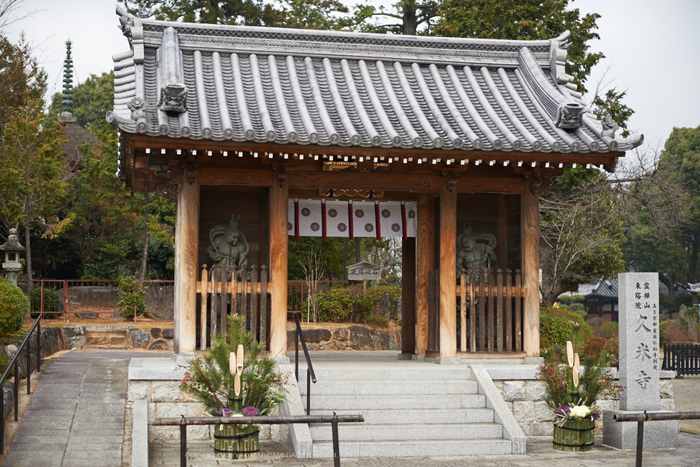 大和七福八宝めぐり,久米寺,2014_DSC_6490Cap(F2,NIKKOR58,1,4G,D800E)2014yaotomi.jpg