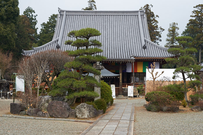 大和七福八宝めぐり,久米寺,2014_DSC_6494Cap(F5,NIKKOR58,1,4G,D800E)2014yaotomi.jpg