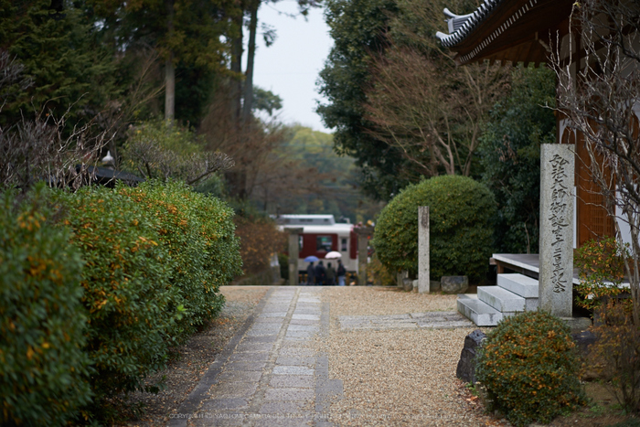 大和七福八宝めぐり,久米寺,2014_DSC_6499Cap(F1.6,NIKKOR58,1,4G,D800E)2014yaotomi.jpg