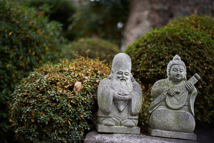 大和七福八宝めぐり,久米寺,2014_DSC_6500Cap(F1.6,NIKKOR58,1,4G,D800E)2014yaotomi.jpg