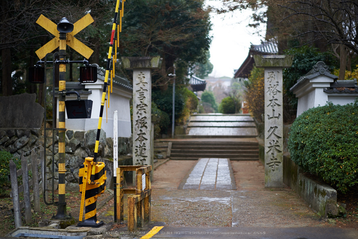 大和七福八宝めぐり,久米寺,2014_DSC_6512Cap(F1.8,NIKKOR58,1,4G,D800E)2014yaotomi.jpg